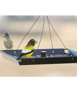 Stokes Select Hanging Feeders 3in1 Platform Bird Feeder