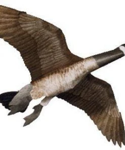 Jackite Giant Canada Goose Kite With Rod, 60" Wingspan