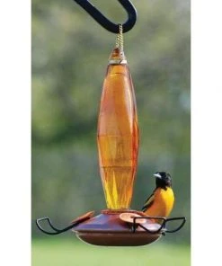 Woodlink Hanging Feeders Audubon Amber Cut Glass Oriole Feeder