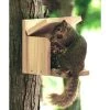 Woodlink Audubon Cedar Squirrel Munch Box Squirrels