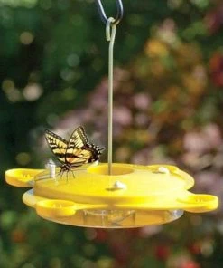 Woodlink Butterflies Audubon Classic Butterfly Feeder