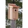 Woodlink Audubon Coppertop Bluebird House