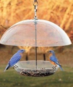 Woodlink Audubon Domed Wild Bird Feeder Hanging Feeders