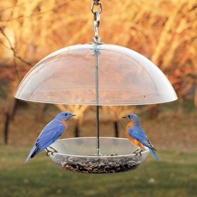 Woodlink Audubon Domed Wild Bird Feeder Hanging Feeders 3 Woodlink Audubon Domed Wild Bird Feeder Hanging Feeders
