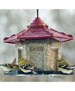 Woodlink Audubon Gazebo Bird Feeder