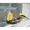 Woodlink Audubon Mixed Treat Window Feeder Window Feeders 1 Woodlink Audubon Mixed Treat Window Feeder Window Feeders