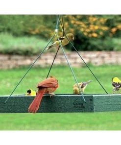 Woodlink Hanging Feeders Audubon Recycled Plastic Platform Bird Feeder