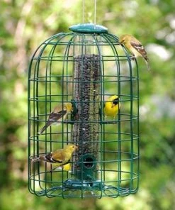 Woodlink Cage Feeders Audubon Squirrel-Resistant Caged Tube Bird Feeder