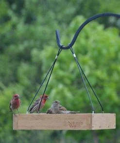 Nature's Way Bamboo Tray Bird Feeder Hanging Feeders