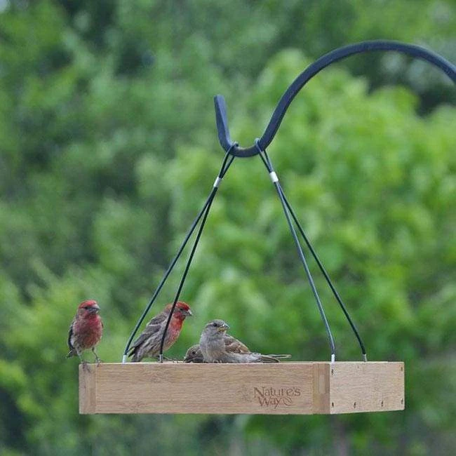 Nature's Way Bamboo Tray Bird Feeder Hanging Feeders