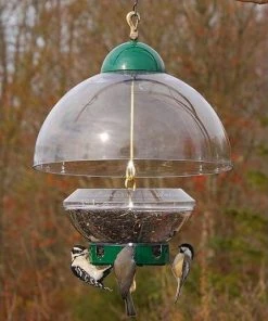 Droll Yankees Big Top Squirrel Resistant Green Bird Feeder