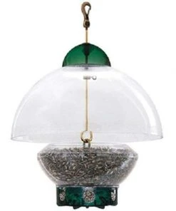 Droll Yankees Big Top Squirrel Resistant Green Bird Feeder