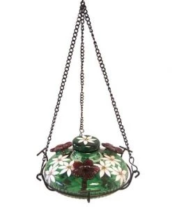 Parasol Bloom Botanica Hummingbird Feeder With Perch, Green