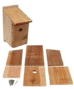 Songbird Essentials Post / Pole Mounted Houses Bluebird House Kit