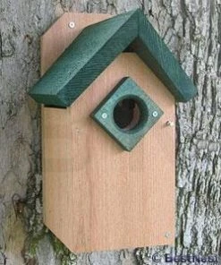 Bluebird House From Looker Products
