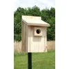 Post / Pole Mounted Houses Bluebird House From Stokes Select