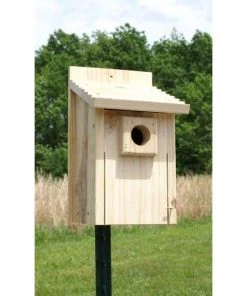 Post / Pole Mounted Houses Bluebird House From Stokes Select