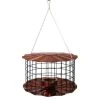Erva Tool & Die Caged Copper Colored Bluebird Feeder
