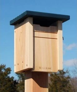 Woodlink Cedar Swallow Or Bluebird House With Blue Roof