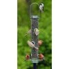 Droll Yankees A-6 Bird Feeder 1 Droll Yankees A-6 Bird Feeder