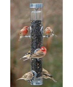 Droll Yankees A-6 Ring Pull Bird Feeder