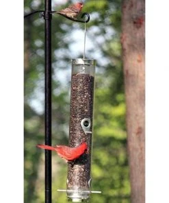 Droll Yankees Classic Sunflower Or Mixed Seed Bird Feeder Hanging Feeders