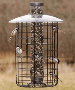 Droll Yankees B-7 Domed Cage And Squirrel Proof Bird Feeder Cage Feeders 7 Droll Yankees B-7 Domed Cage And Squirrel Proof Bird Feeder Cage Feeders