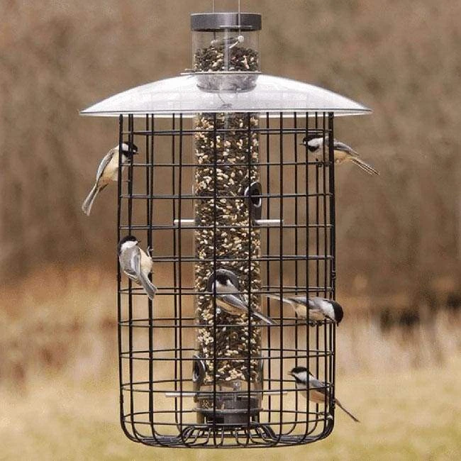 Droll Yankees B-7 Domed Cage And Squirrel Proof Bird Feeder Cage Feeders 5 Droll Yankees B-7 Domed Cage And Squirrel Proof Bird Feeder Cage Feeders