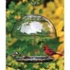 Droll Yankees Dorothy's Cardinal Feeder