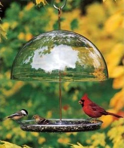 Droll Yankees Dorothy's Cardinal Feeder
