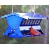 Heritage Farms Double Sided Absolute II Electric Blue Bird Feeder 1 Heritage Farms Double Sided Absolute II Electric Blue Bird Feeder