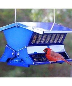 Heritage Farms Double Sided Absolute II Electric Blue Bird Feeder