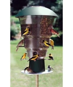 Wild Bills Electronic Squirrel Proof 12 Port Bird Feeder