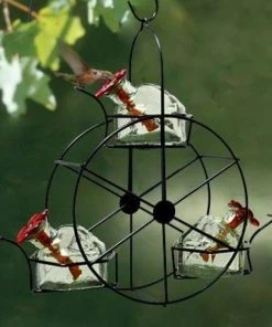 Parasol Hummingbird Feeders Ferris Wheel Hummingbird Feeder, Clear 7 Parasol Hummingbird Feeders Ferris Wheel Hummingbird Feeder, Clear