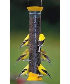 Droll Yankees New Generation 15" Finch Flocker Bird Feeder, Yellow