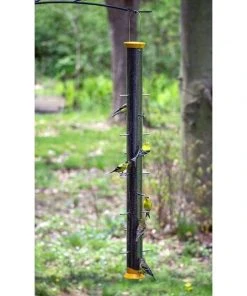 Droll Yankees New Generation 36