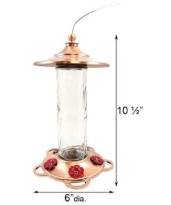 More Birds Glory Hummingbird Feeder Hummingbird Feeders