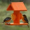 Woodlink Going Green Recycled Plastic Oriole Fruit Feeder Hanging Feeders
