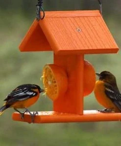 Woodlink Going Green Recycled Plastic Oriole Fruit Feeder Hanging Feeders