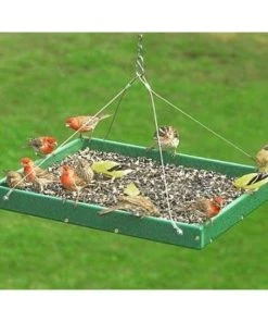 Songbird Essentials Hanging Platform Green Bird Feeder, Large Hanging Feeders