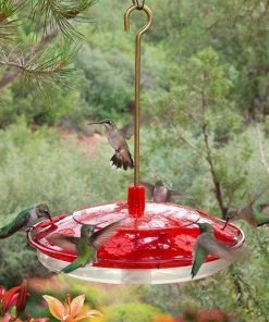 Droll Yankees Happy Eight-2 Hummingbird Feeder Hummingbird Feeders