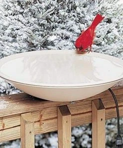Allied Precision Heated Bird Bath With Deck Mount Deck Mounted Bird Baths
