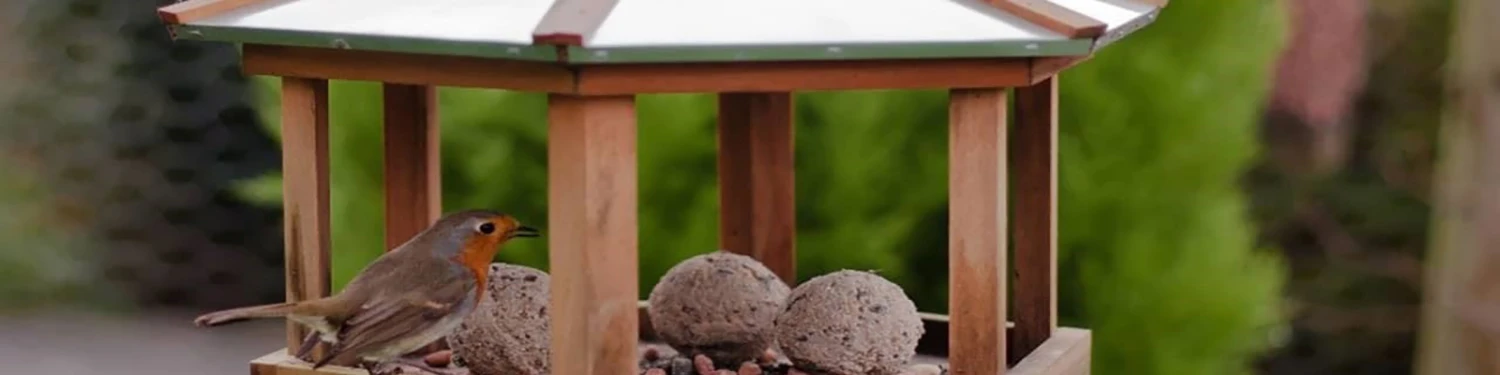 Bird Houses And Baths Sales -Bird Houses And Baths Sales hengfu3