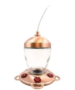 More Birds Jubilee Hummingbird Feeder