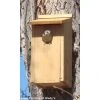Woodlink Kestrel And Screech Owl House