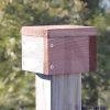 Looker Products Post Cap Bird House Accessories 2 Looker Products Post Cap Bird House Accessories