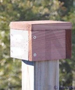 Looker Products Post Cap Bird House Accessories