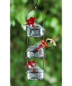 Parasol Hummingbird Feeders Lunch Pail Clear Hummingbird Feeder