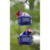 Parasol Lunch Pail Hummingbird Feeder, Small, Blue Hummingbird Feeders