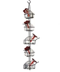 Parasol Lunch Pail Hummingbird Feeder, Tall, Clear Hummingbird Feeders